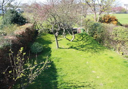 View of garden from master bedroom