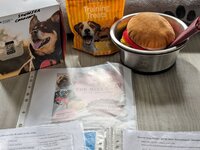 dog essentials3