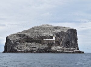 Explore Bass Rock near North Berwick - Image of Bass Rock covered in Gannets and a lighthouse