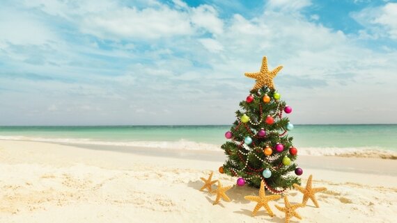 Tropical Beach Christmas Tree - A decorated miniature Christmas tree stands on a sandy beach with starfish arranged at its base. The ocean and a blue sky provide the backdrop. (© YinYang from Getty Images Signature via Canva Pro licence) Tropical Beach Christmas Tree - A decorated miniature Christmas tree stands on a sandy beach with starfish arranged at its base. The ocean and a blue sky provide the backdrop. (© YinYang from Getty Images Signature via Canva Pro licence)