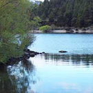 Picture of Lake Wanaka Outlet Camp, Otago