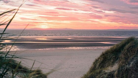 Sunset from Gullane Point near Aberlady, Scotland - Orange and pink skies reflect in the coastal waters, framed in the foreground by plants on the sandy dunes. (© Pete Walls)