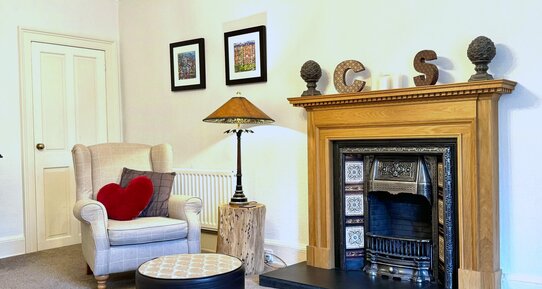 Living room fireplace - Living flame fire