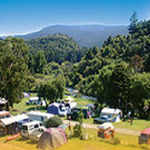 Picture of Kauri Coast Top 10 Holiday Park & Motels, Northland