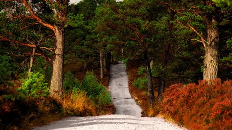 Running routes near Aviemore
