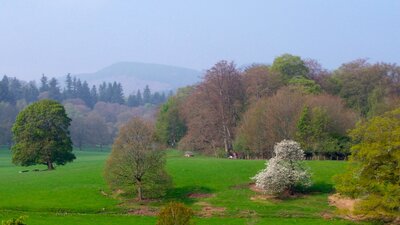 Murthly Estate in the spring - The colours are always beautiful on Murthly Estate in the spring (© Murthly Estate)