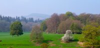 Murthly Estate in the spring