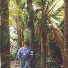 Picture of Karamea Holiday Park, Westcoast