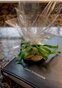 Guest Information and Welcome Gift