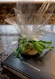 Guest Information and Welcome Gift