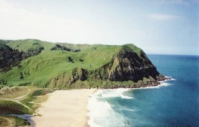 Waipatiki Beach Farm Park Napier East Cape Caravan Sitefinder Picture Of Waipatiki Beach Farm Park East Cape
