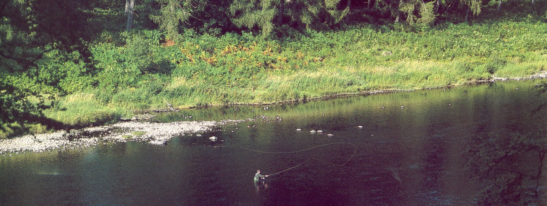 Fly fishing on the River Tay at Murthly estate - Fly fishing is ideal along the River Tay at Murthly Estate in Perthshire