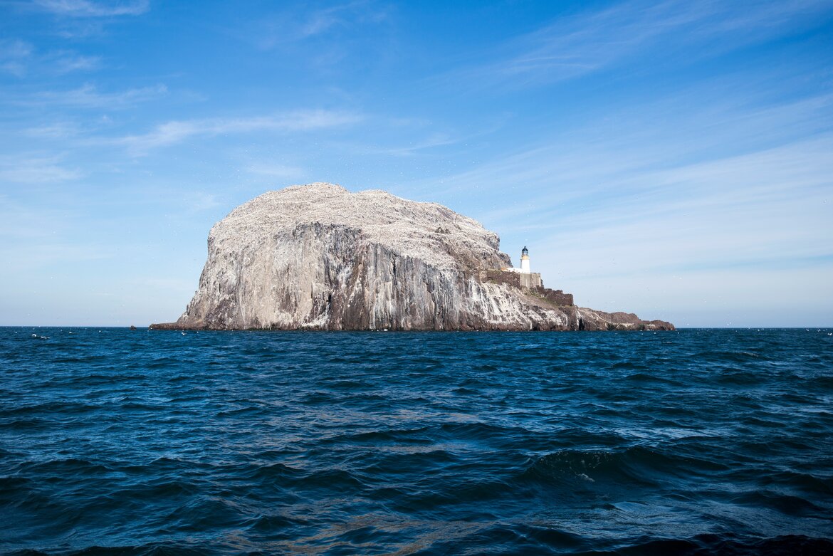 The Bass Rock (© VisitScotland / Kenny Lam)