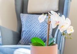 Waverley Park Terrace 24