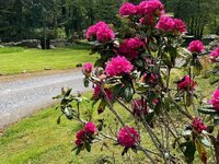 WhatsApp Image 2022-07-23 at 4.46.17 PM