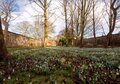 Grassicks_Cottage-