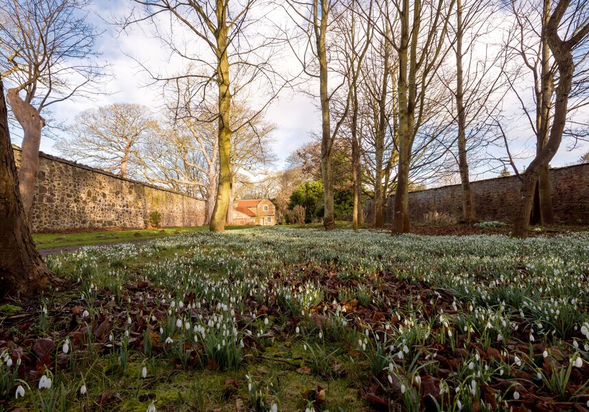 Grassicks_Cottage-