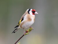 IMG_1768