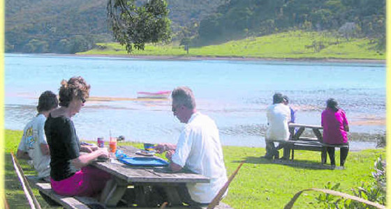Wagener Holiday Park Museum Golf Houhora Harbour Northland